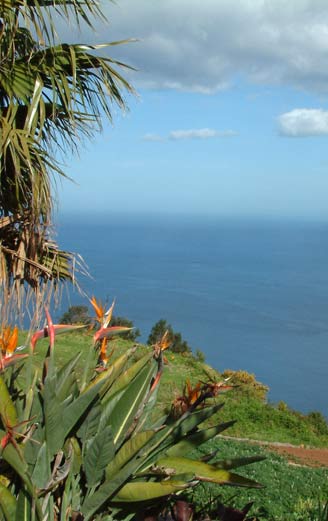 holidays in Madeira
