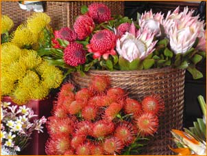 exotic flowers for sale at Funchal Market