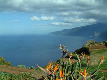 dramatic scenery coastal madeira