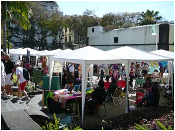 small general market in Funchal